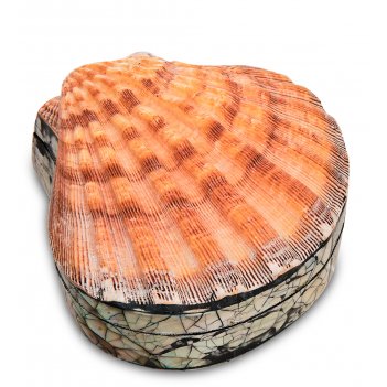 Wolf 305528 ���� ��� ����� �� ����� Blake