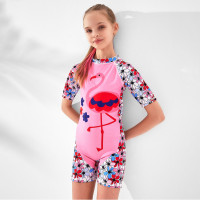   Bernadotte,   ,  , 17 