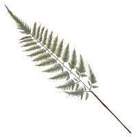 ���� ��������� Hermle 70963-740141