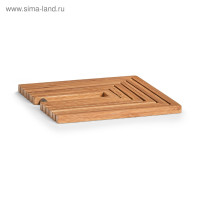 ����� ������ ���� (9�10,5��)