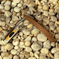  Titan1918