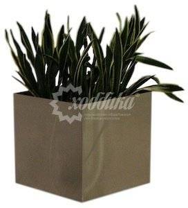 �������� ��� �������� ����� ���.20122-3