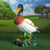   IN HOME, G13, 10 , 800 , 6500 , 600 , ,  